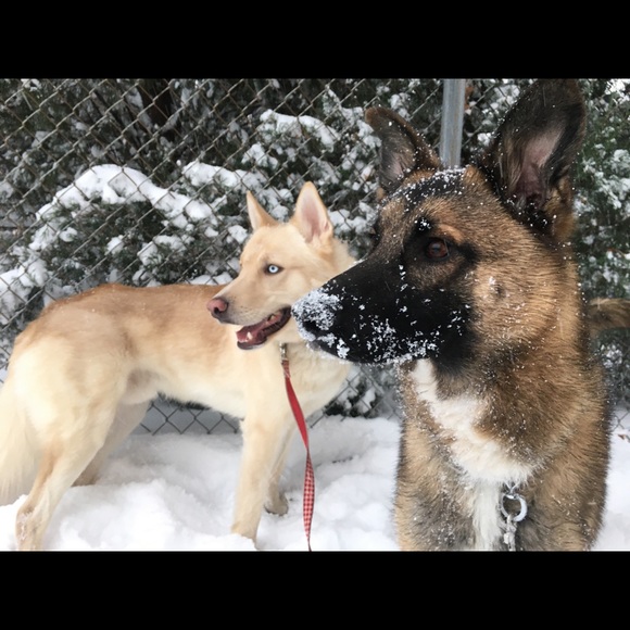Newly Engaged & Excited to Raise $ 4 Our Wedding - Picture 15 of 16